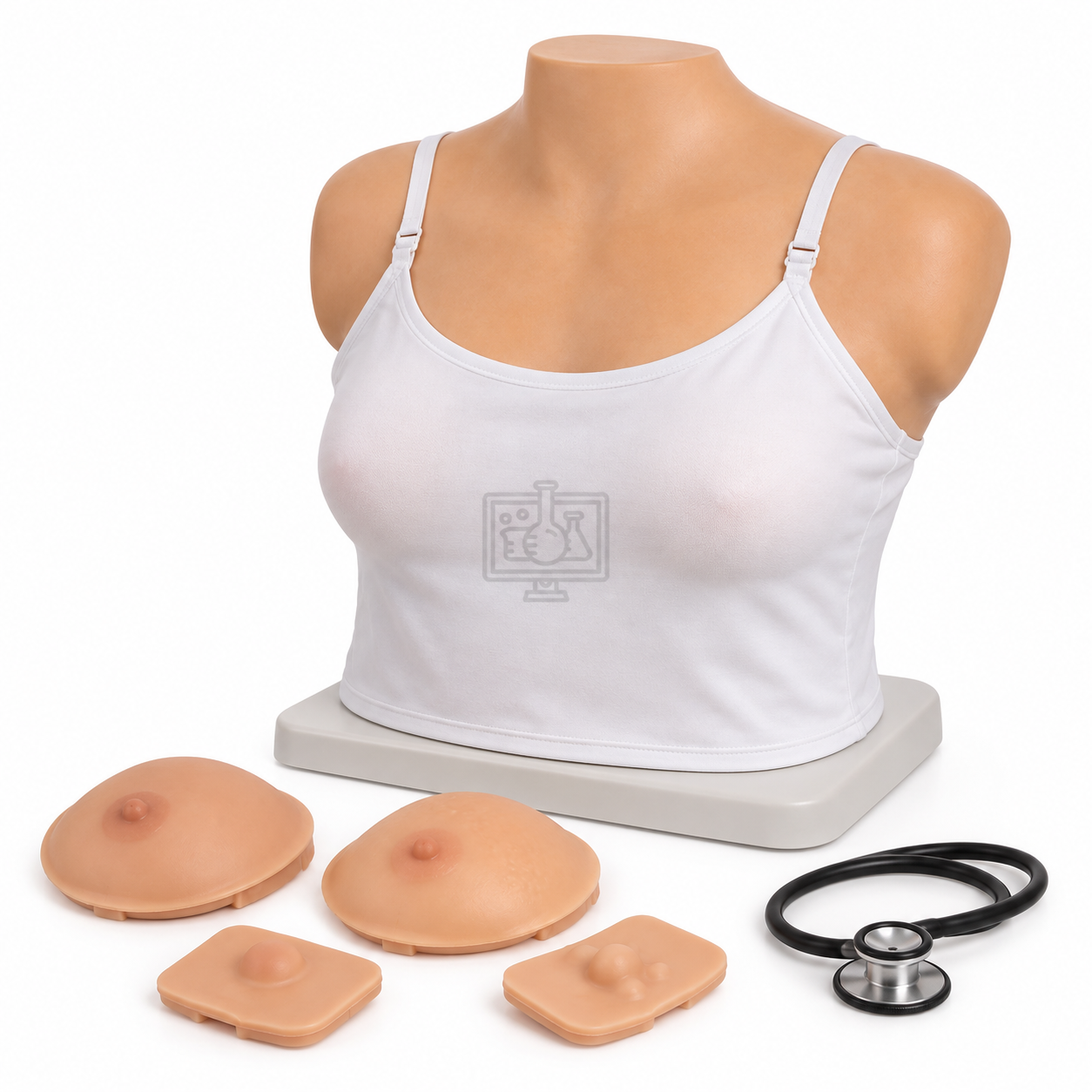 Breast Examination Model