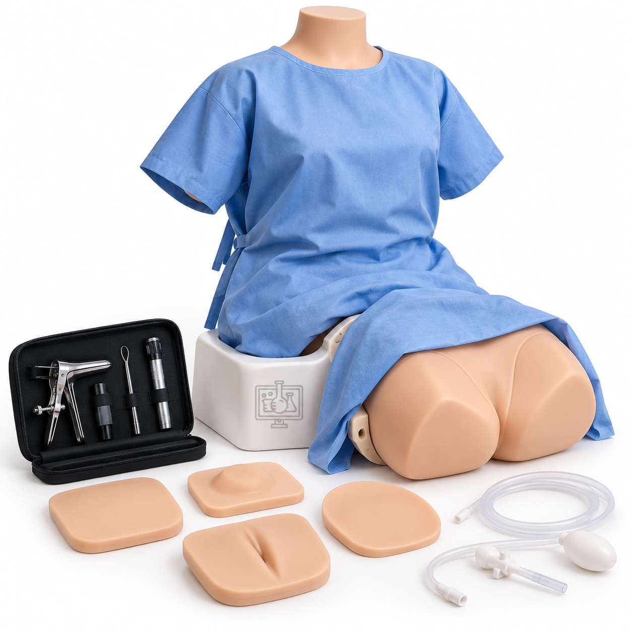 Gynecological Examination Model