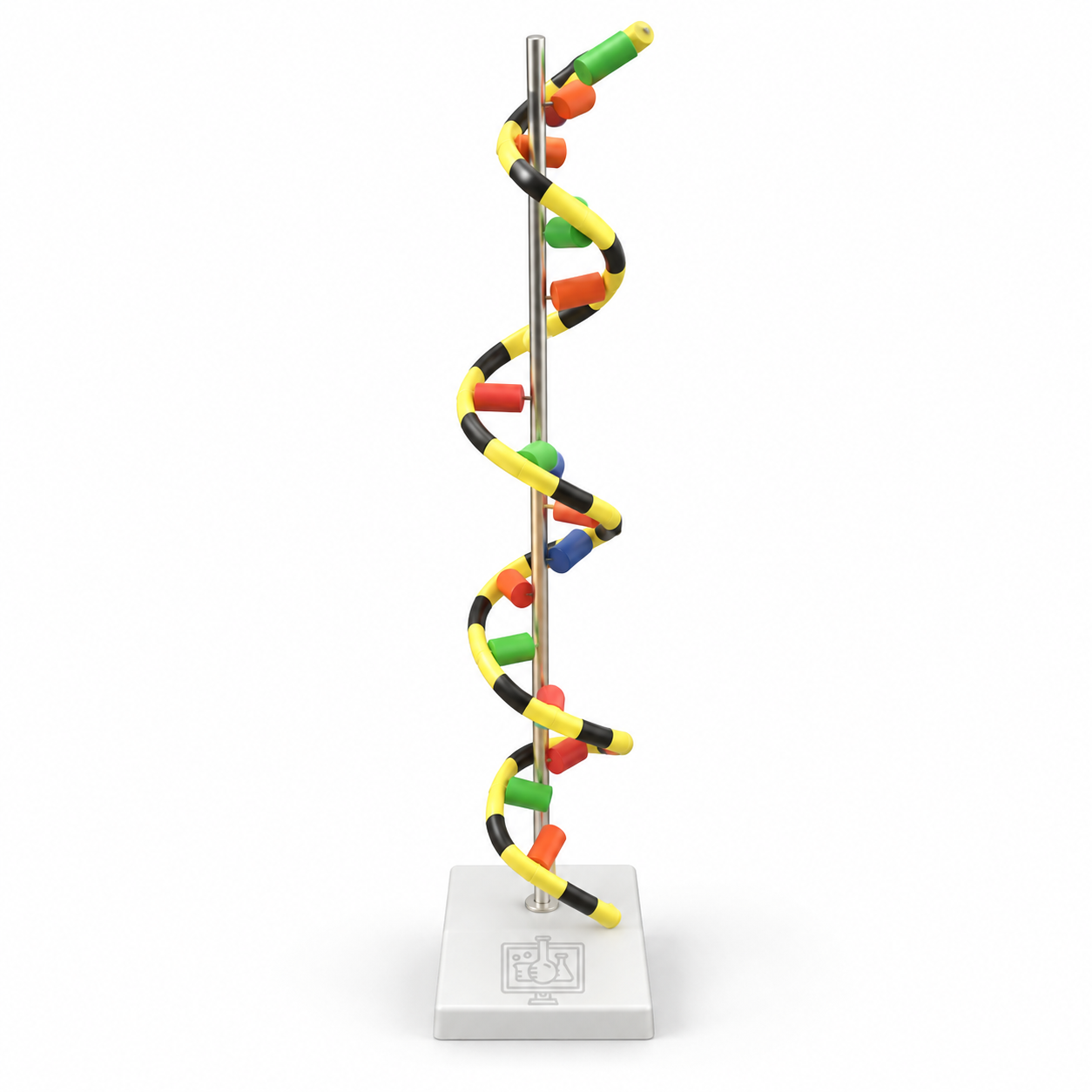 Model, RNA, on Stand