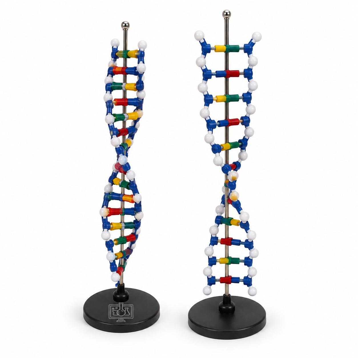 DNA Structure Model, Simulation Kit