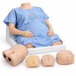 Maternity Examination Model