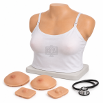 Breast Examination Model