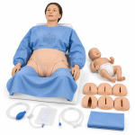 Labour Delivery Model