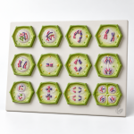 Model, Plant Meiosis