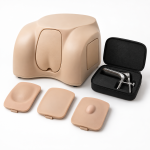 Prostate Inspection Model