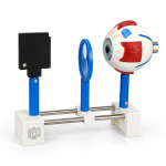Human Eye Kit Model (Functional)
