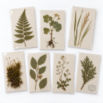 Botany Specimens